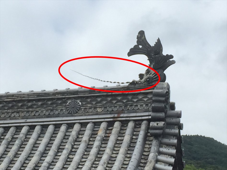 伊勢神宮でめずらしい屋根を発見！レアキャラです！ | 三州瓦の神清