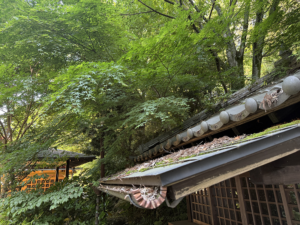 神社全体