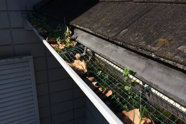 29d3bc99193cb0b837fb8cc53f050ae5-1