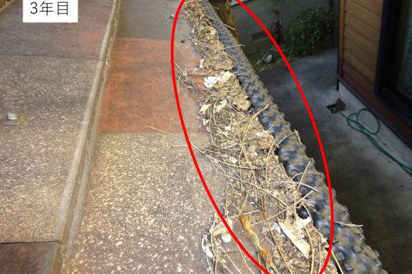 2b530e80c7d0de90885e285c5d798063-8