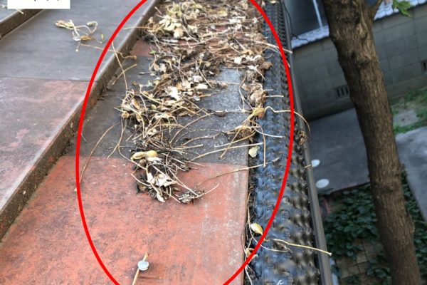 c8856789ec11ab8b1013037cef6929f9-8